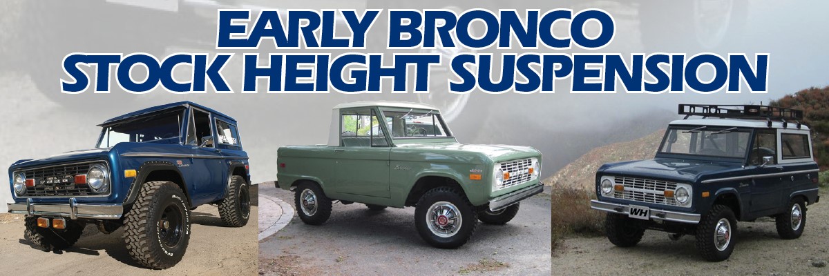 STOCK SUSPENSION