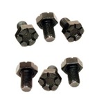 Flexplate Bolts 6pk 