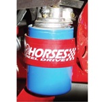 EFI Fuel Filter & Accumulator 