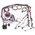 Painless Fuel Injection Harness 00-02 GM Gen III 4.8,5.3 & 6.0L Throttle By Wire Extra Lengt