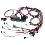 Painless Fuel Injection Harness 99-02 GM LS-1 Std. Length