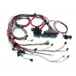 Painless Fuel Injection Harness 05 GM LS-2 Std. Length