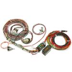 Painless 14 Circuit Wiring Harness F-Series Ford Truck 67-77 w/ Switches