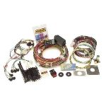 Painless 14-Circuit Wiring Harness 65-66 Mustang 