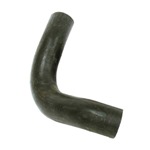 5.0L Lower Radiator Hose 